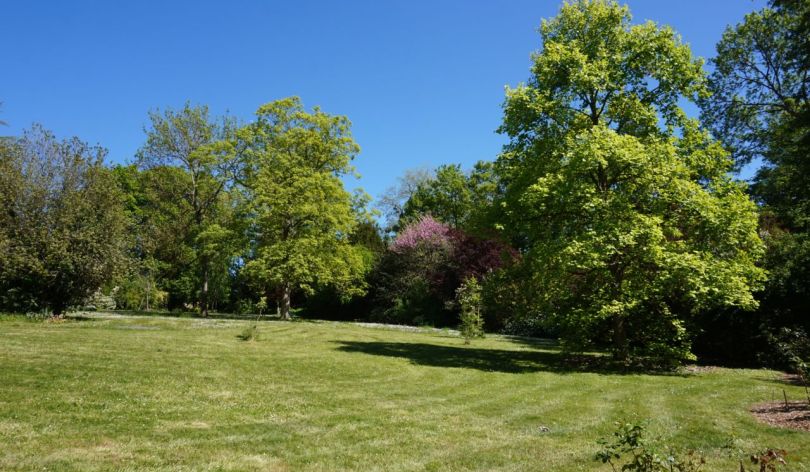 Vaste appartement situé au Centre Ville